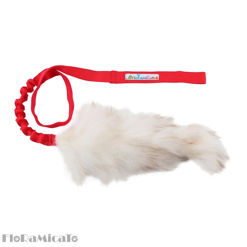 Fluffy tail (schaap)