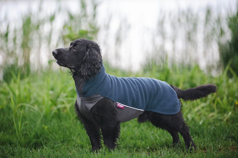 Pomppa Jumppa season colors - Midnight