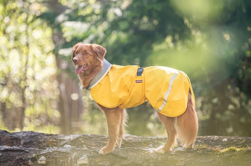 Pomppa Kuori (regenjas) - Lemonade