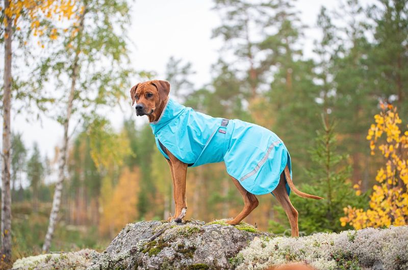Pomppa Kuori (regenjas) - Turquoise