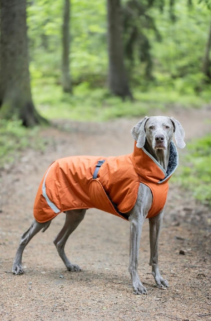 Pomppa Perus season colors - Roest