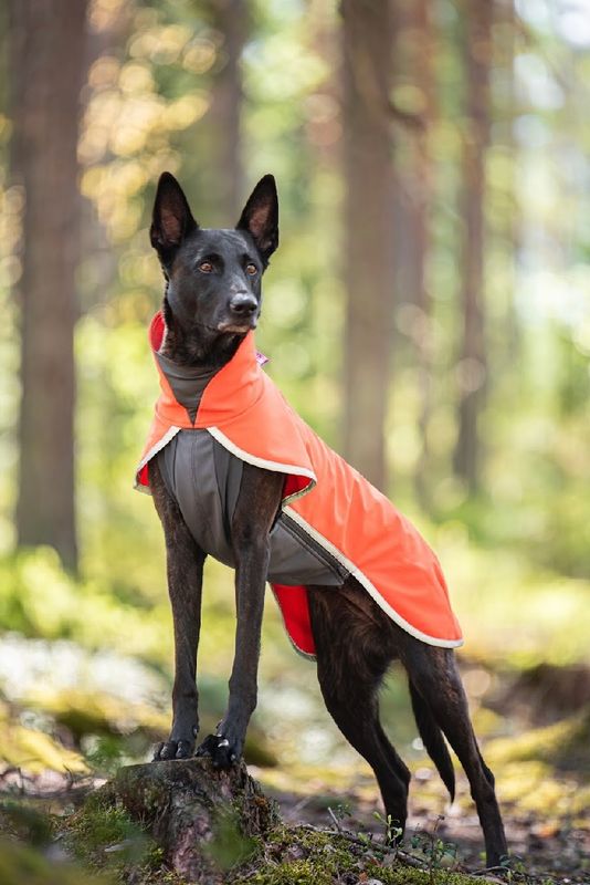 Pomppa Sportti - Habanero