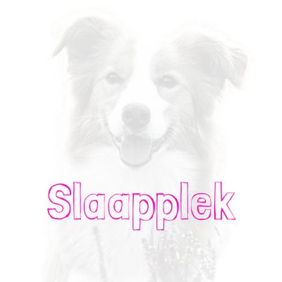 Slaapplek