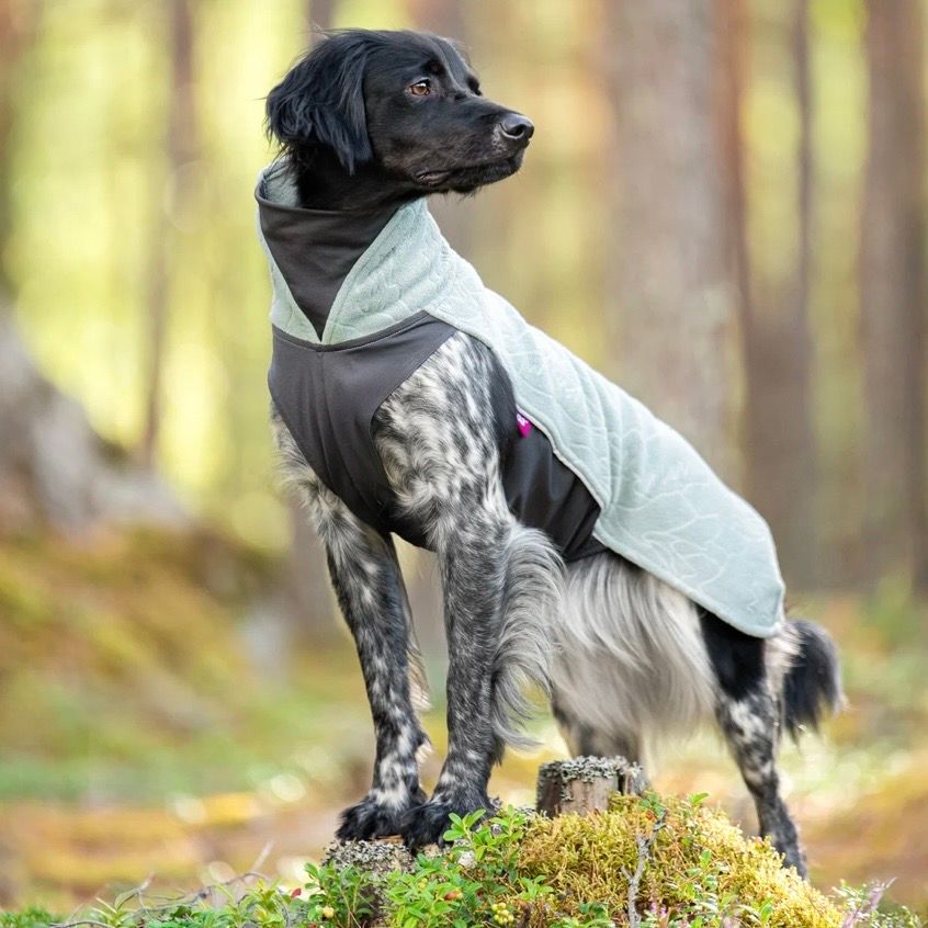 Pomppa Jumppa LIMITED EDITION - Usnea