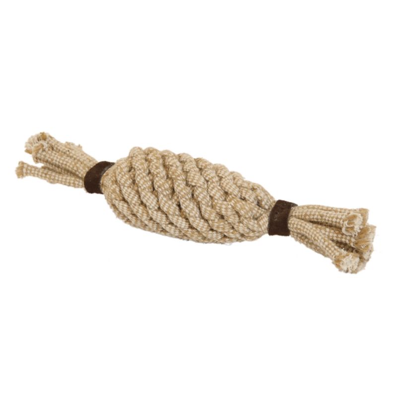 Kentucky hondenspeeltje - ananas