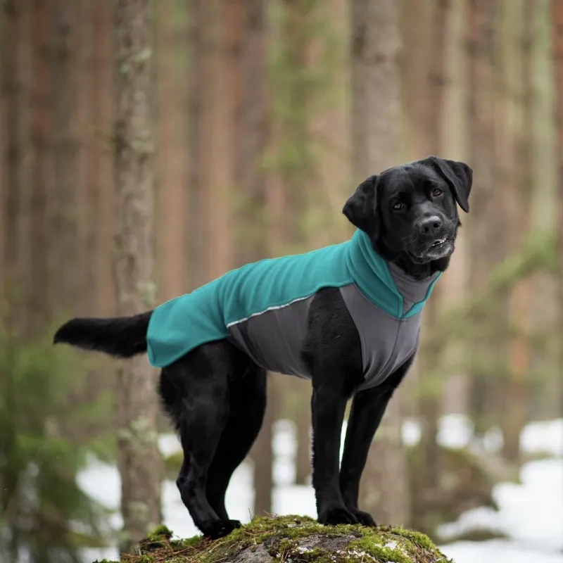 Pomppa Jumppa season colors - Forest