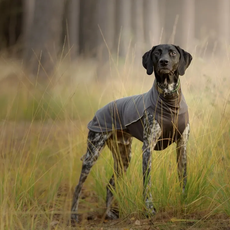 Pomppa Jumppa basic colors - Grijs