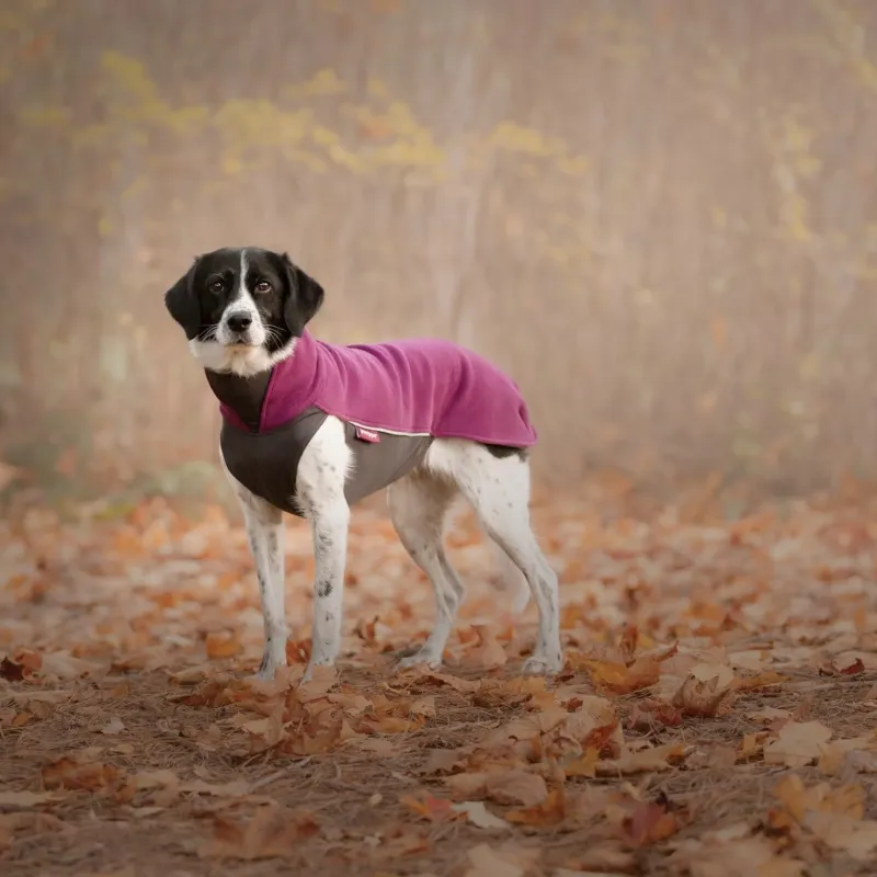 Pomppa Jumppa basic colors - Plum