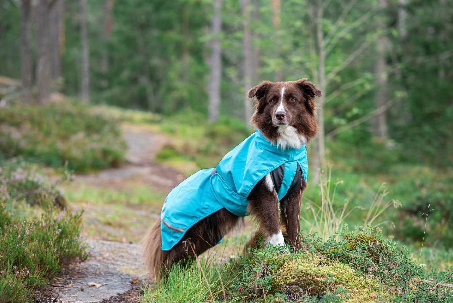 Pomppa Kuori (regenjas) - Turquoise