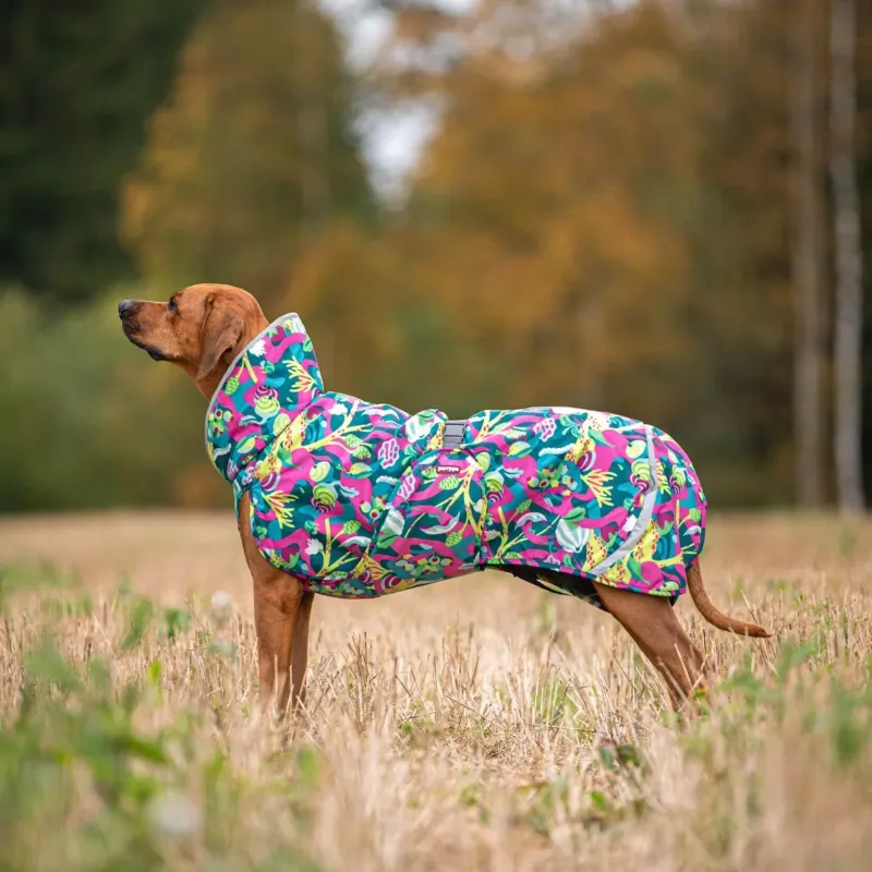 Pomppa Perus season colors - Trail
