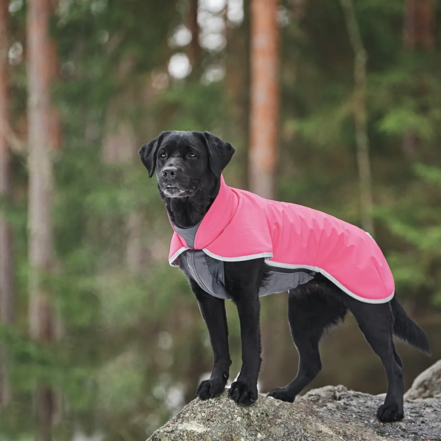 Pomppa Sportti - Fuchsia