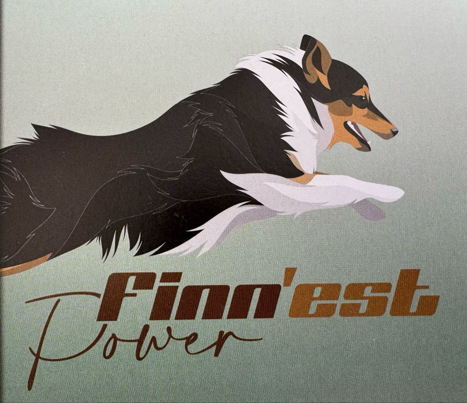 Finn’est Power geitenmelkpoeder - 400gr