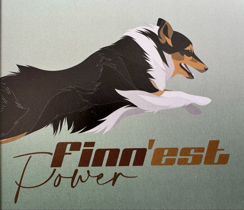 Finn’est Power geitenmelkpoeder - 400gr