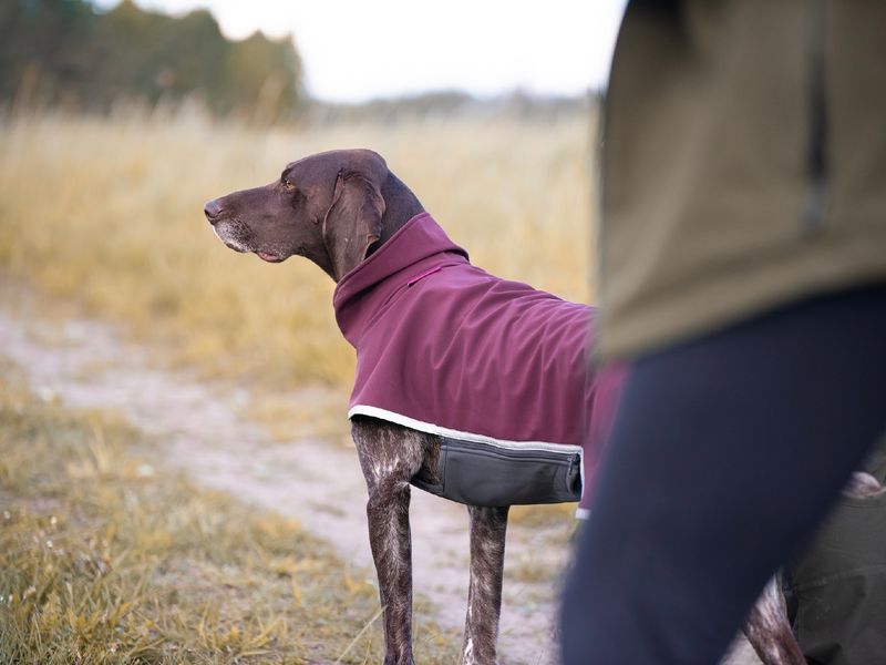 Pomppa Sportti - Maroon
