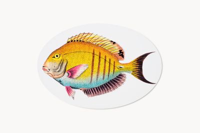 Marianna - Fantasia Pesci (25pz)