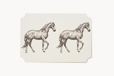 Vico - Fantasia Cavalli  (25pz)
