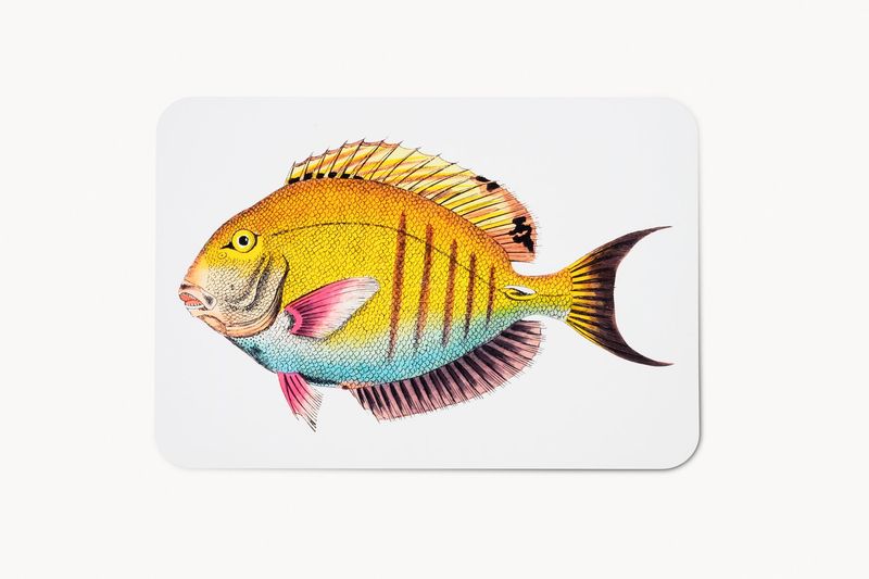Guy - Fantasia Pesce (25pz)