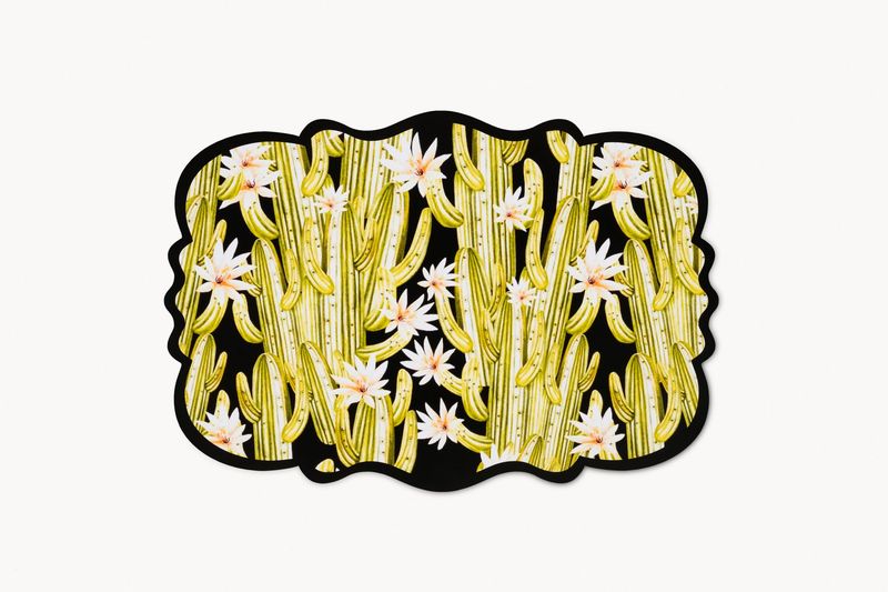 Albertina - Fantasia Cactus fioriti (25pz)