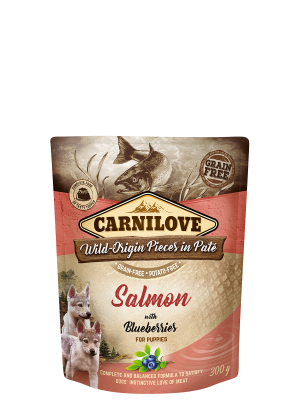 Carnilove Pouch