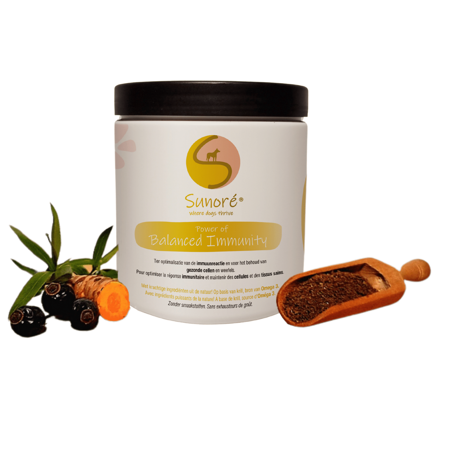 Sunore Power of Balanced Immunity