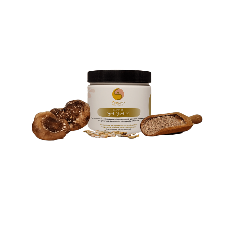 Sunore Gut Biotics
