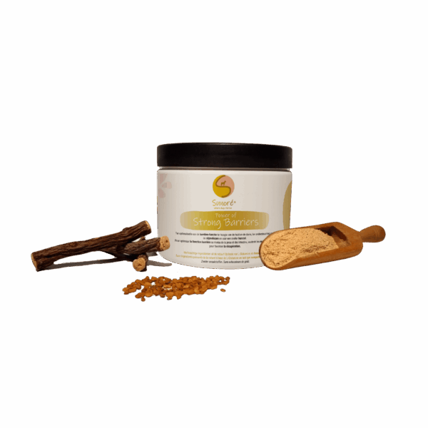 Sunore Power of Strong Barriers