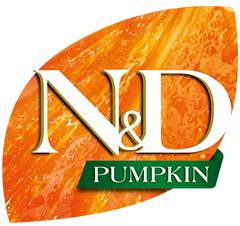 N&amp;D Pumpkin