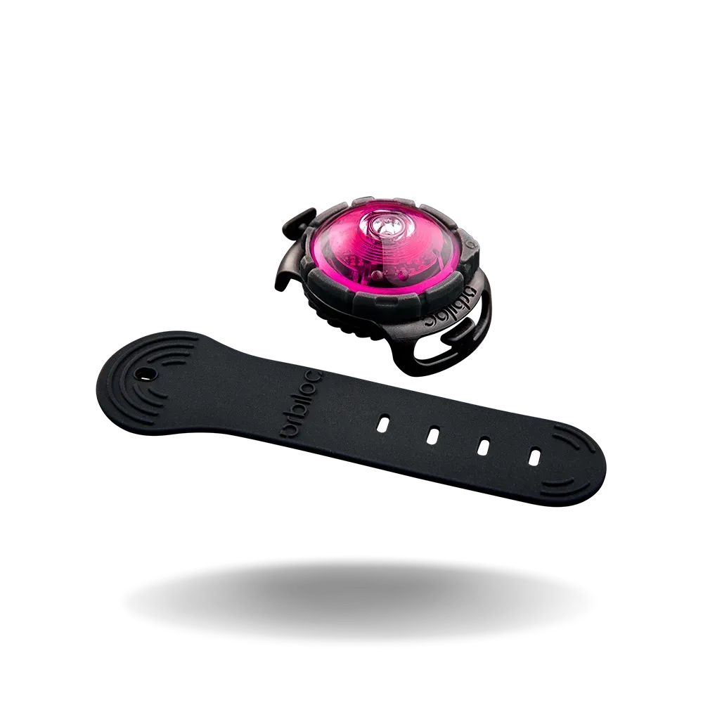 Orbiloc LED Veiligheidslampje, Kleur: Pink, Maat: Dog Dual