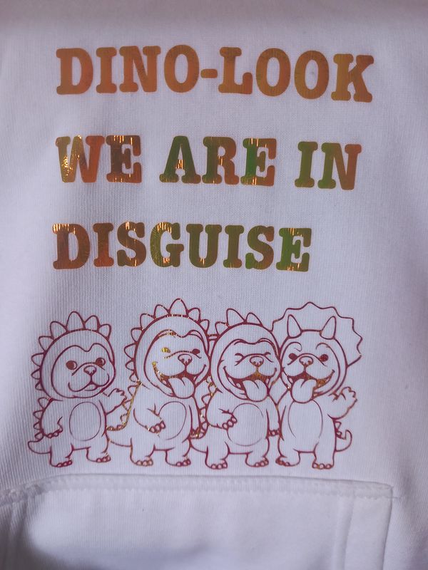 Kids Dino look "hoodies"