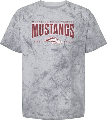 Color Blast Heavy Weight Tee Splatter graphic