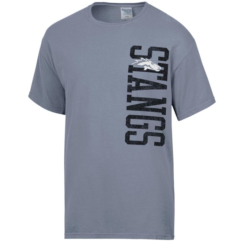 Morningside University State of Iowa on back