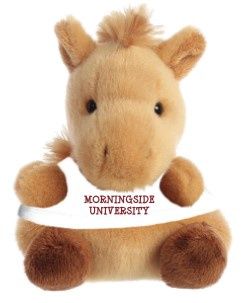 Mustangs Palm Pal