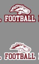 Mustangs Glitter Face and Body Decals