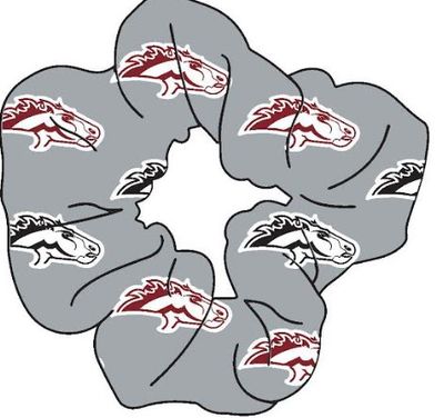 Scrunchie with Mustangs logo