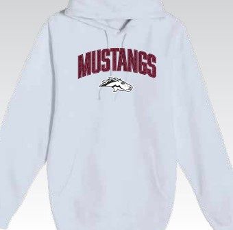 Premium Hoodie With Bold Glitter Embroidery