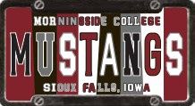 Morningside Auto Plate Mag