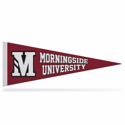 Soft Felt Pennant 9"x24"