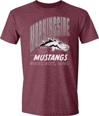 Retro Tee Heather Maroon