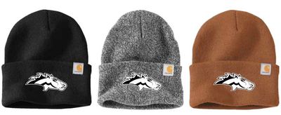 Carhartt Beanie