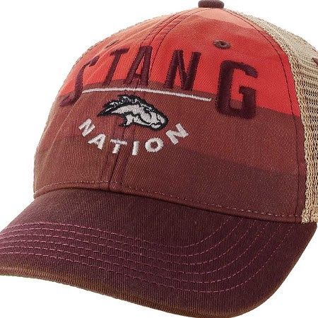 L2 Stripe Hat OSFA