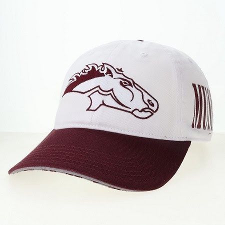 Custom Logo Mustangs bill