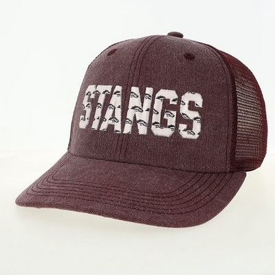 Mustangs w Small Logo
