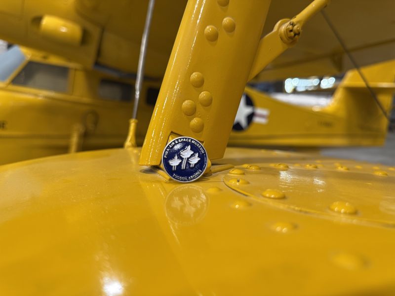 PASM Logo Pin