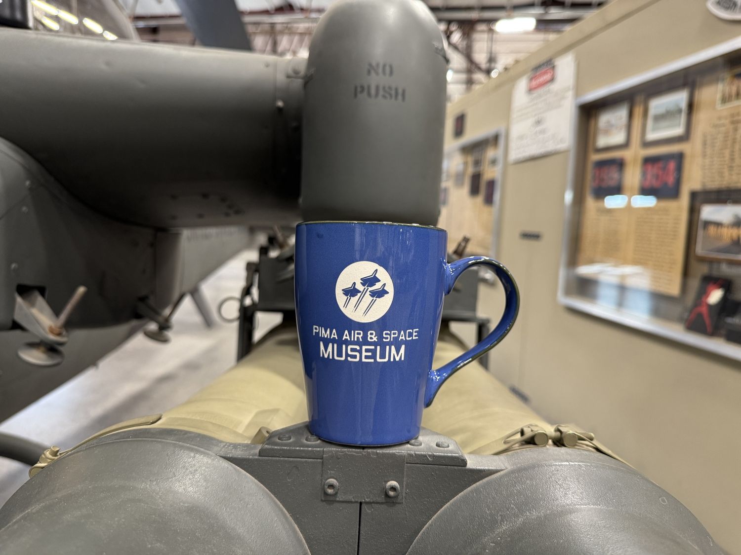 PASM Deep Etched Logo 16oz Blue Mug