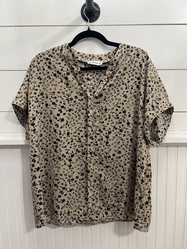Fit V Neck Blouse