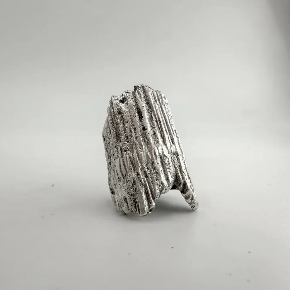 PAUWELS  UNISEX STERLING SILVER RING RH001