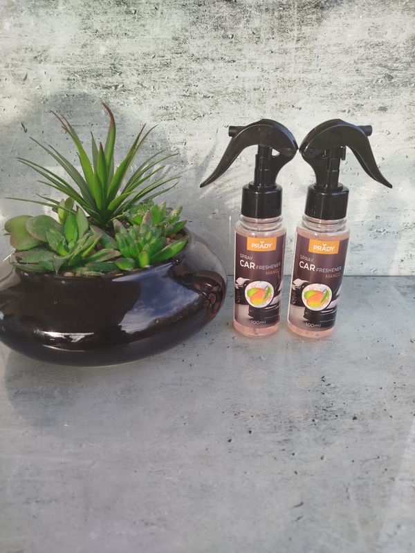 Spray Voiture Mangue