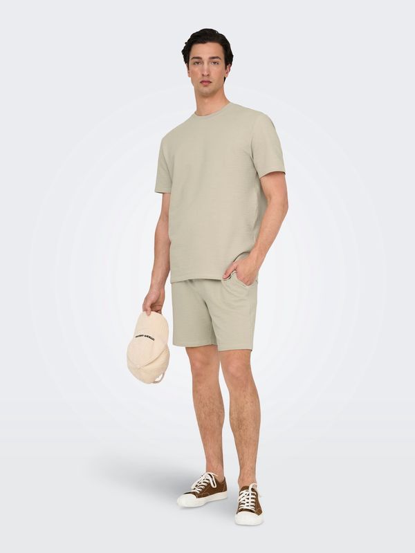 Only & Sons ONSKIAN T-shirt – Silver Lining Only & Sons ONSKIAN T-shirt – Silver Lining