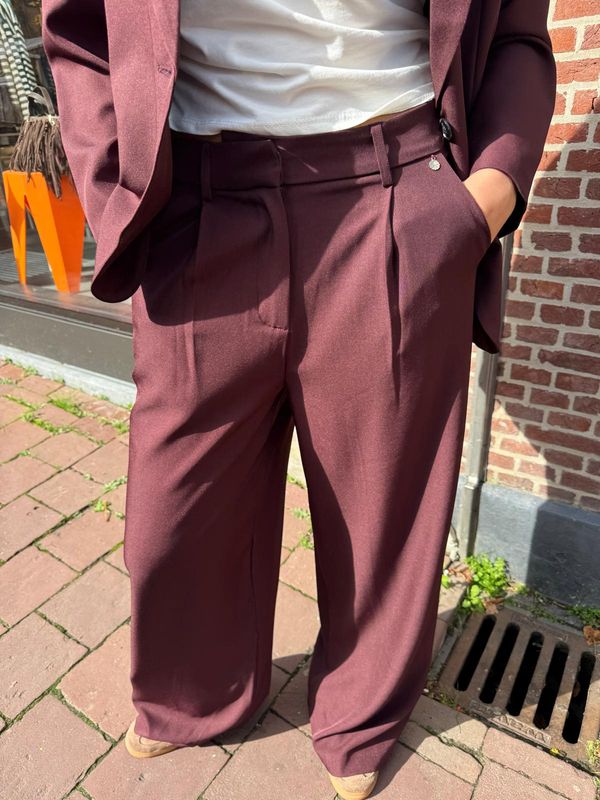 Ambika Broek Gris - Plum