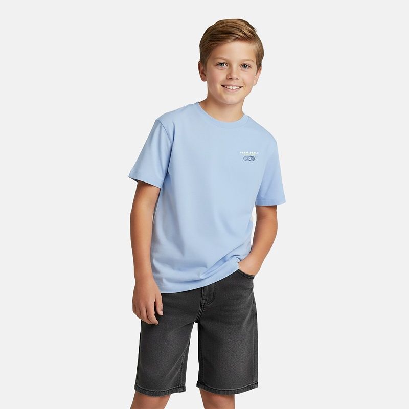 Cars T-shirt Pluyo – Grey Blue